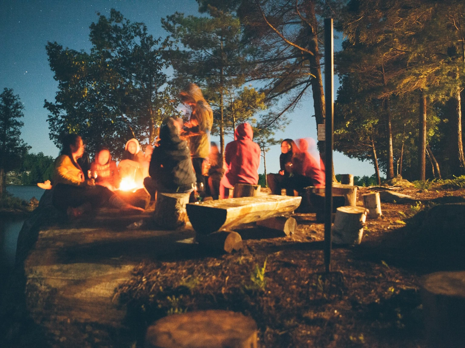 group of people near bonfire near trees during nighttime