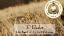 shower-gel-mit-37-krautern-fur-die-pflege-von-haar-und-haut_1_m.webp