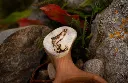 Bildschirmfoto_2025-11-27_um_22.47.57_m.webp