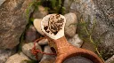 Bildschirmfoto_2025-11-27_um_22.58.04_m.webp