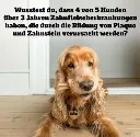 Bildschirmfoto_2026-01-17_um_13.44.00_m.webp