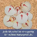 91T-E1THs1L._AC_SL1500_.webp