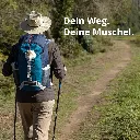 71pO4TpnmvL._AC_SL1500_.webp