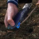survival-solarpanel-powerbank-ladt-ihr-smartphone-bis-10-mal_2_m.webp