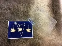 schmuck-set-taube-aus-polarbirkenholz_m.webp