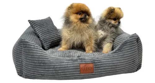 Hundebett XXL 130×100 cm – Stylisch, bequem & waschbar