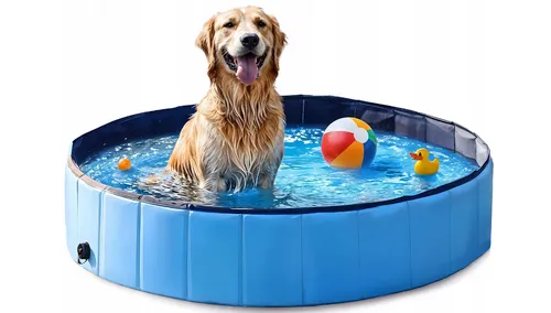 [170673] Faltbarer Hundepool 80x20 cm – Abkühlung & Spass für deinen Vierbeiner
