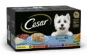 Hundefutter Cesar - Senior Mulitpack 8 x 150 g