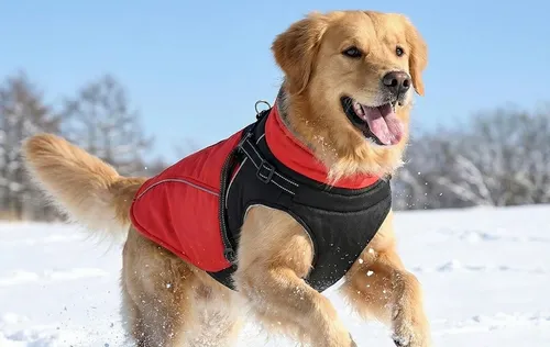 [171176] Winterhundemantel mit Fleece, reflektierend, wasserdicht, verstellbar – Grösse S - XL
