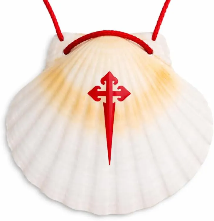 Pilgermuschel Jakobsweg mit Cruz de Santiago – Naturmuschel mit roter Kordel